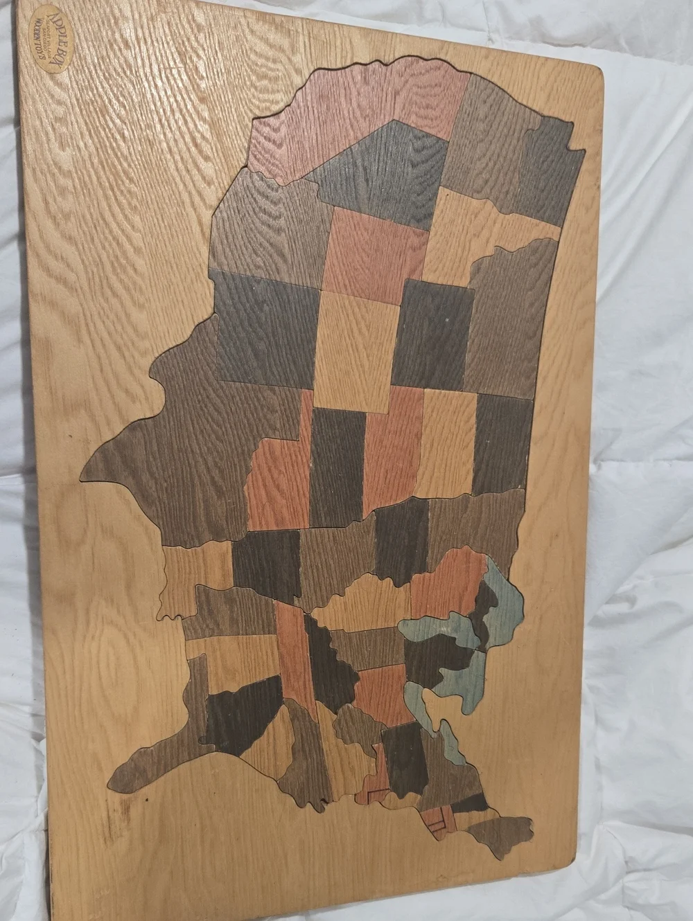 Handcrafted Innlay Wood Map Wall Art - Multicolor Each Piece Has The Capital On